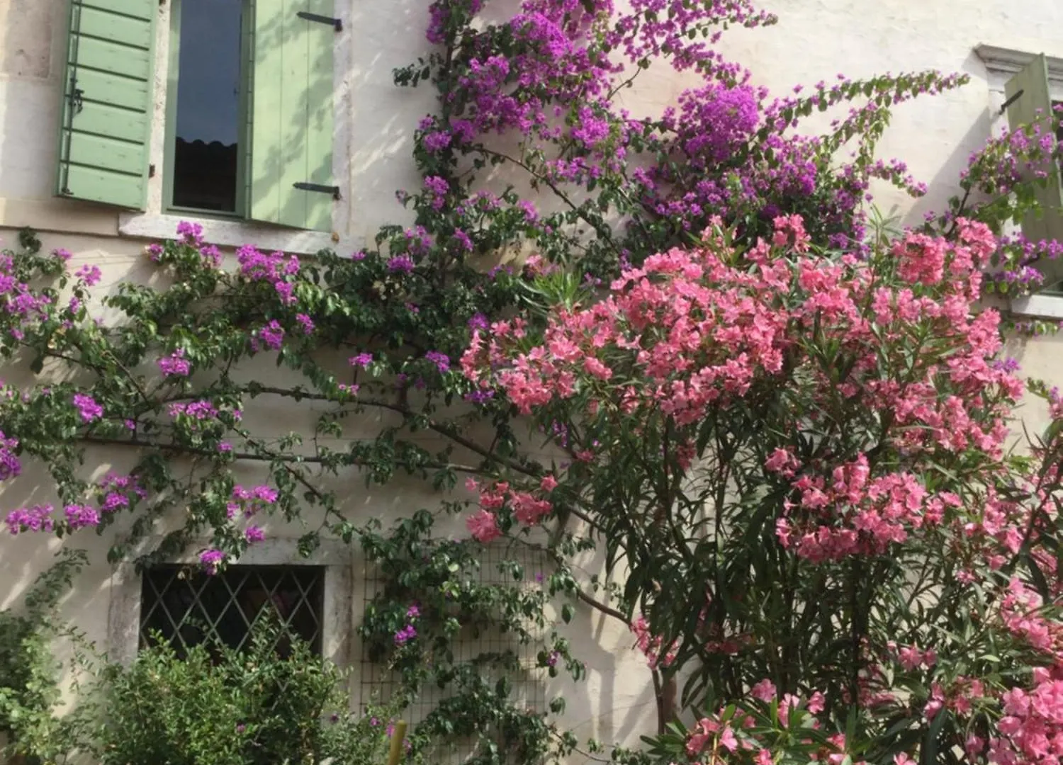 Villa Cisano Residenza D'Epoca Bardolino